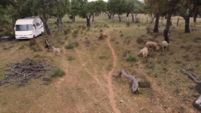 Gosto do Campo - Cabeço Mouro